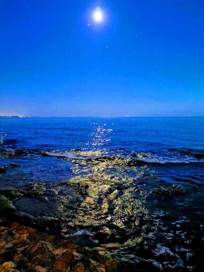 Aria Deluxe Superior 5 Star Apartment, Your Piece Of Heaven By The Sea & Park, With Sea & Park View Novigrad  Ngoại thất bức ảnh