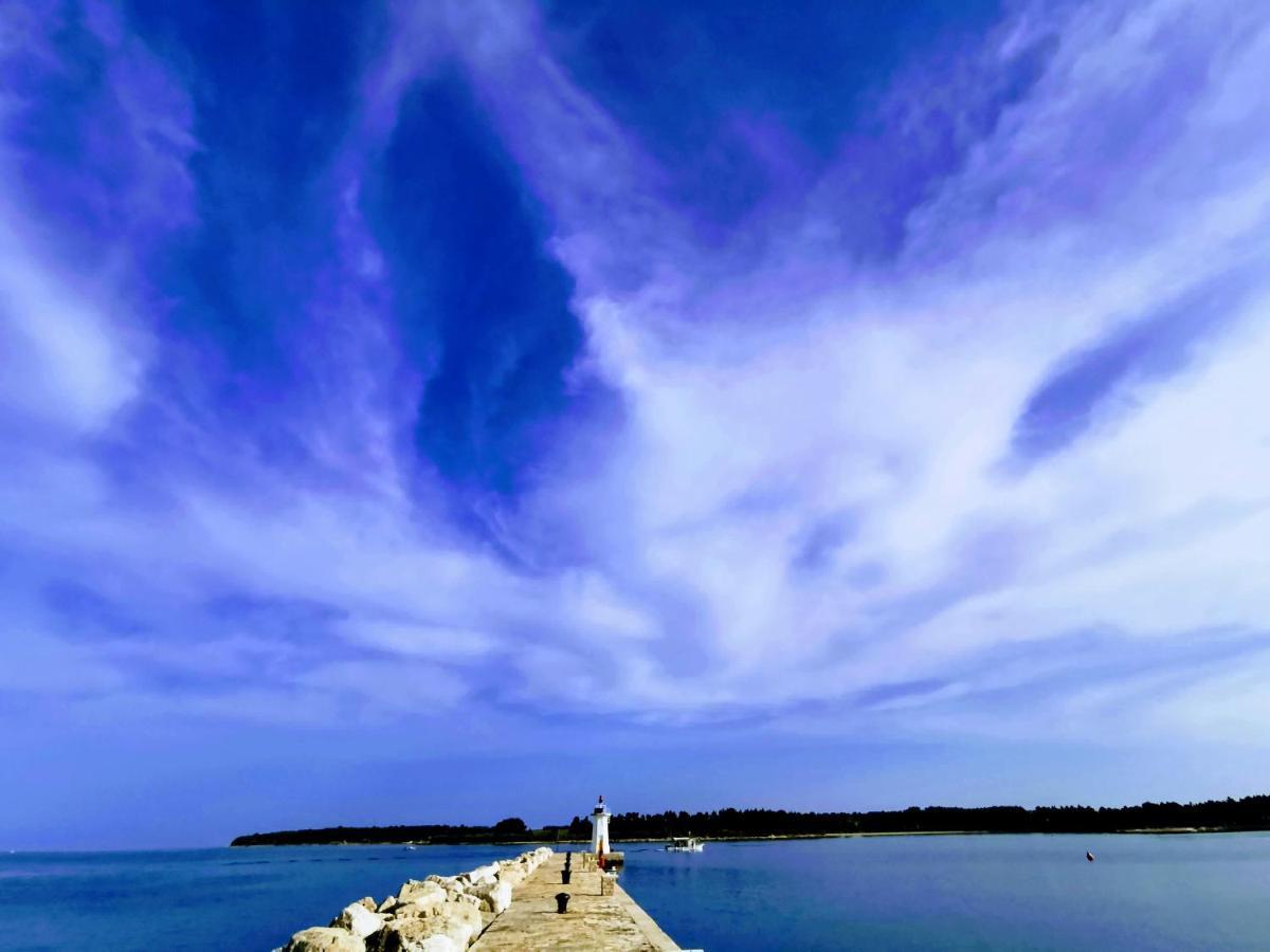 Aria Deluxe Superior 5 Star Apartment, Your Piece Of Heaven By The Sea & Park, With Sea & Park View Novigrad  Ngoại thất bức ảnh